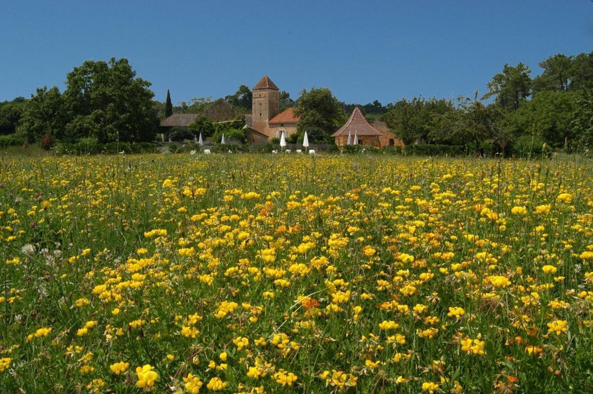 Gites Du Boussagou Marminiac Exterior foto